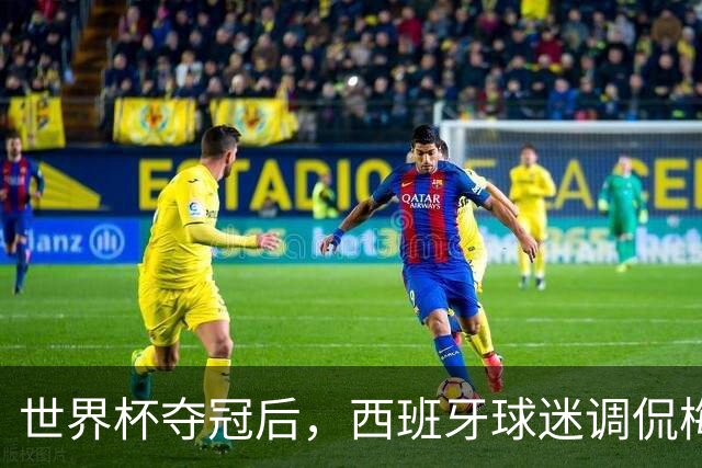 世界杯夺冠后，西班牙球迷调侃梅西： 别哭了，唱歌吧