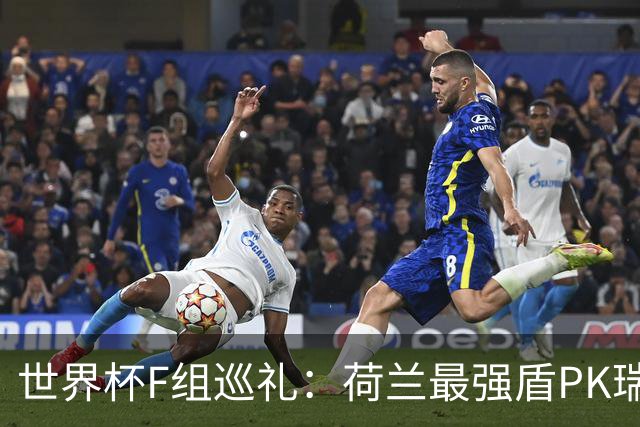 世界杯F组巡礼：荷兰最强盾PK瑞典犀利刀 日本短板明显