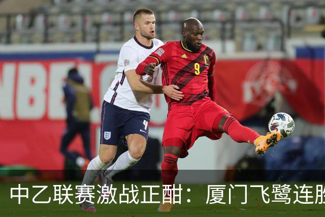 中乙联赛激战正酣：厦门飞鹭连胜在望，泰山B队面临危机