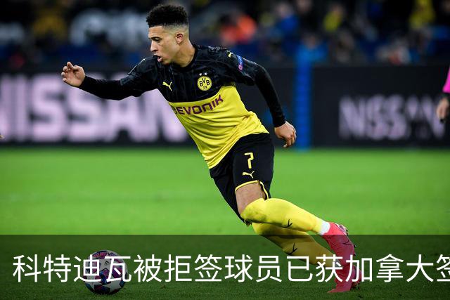 科特迪瓦被拒签球员已获加拿大签证 有望登场出战德国