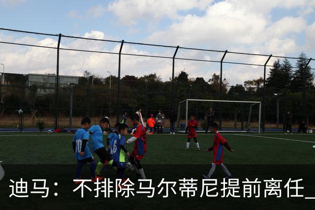 迪马：不排除马尔蒂尼提前离任 曼奇尼或担任主帅 基耶利尼当总监